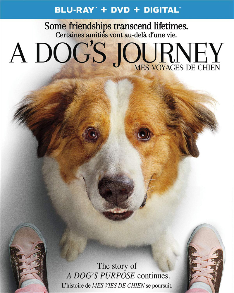 A Dog's Journey Blu-ray and DVD